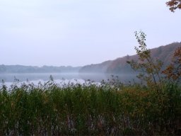 IMGP3720-Hald-Soe-med-dis